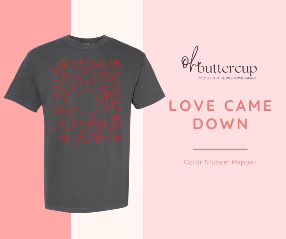 Love Came Down