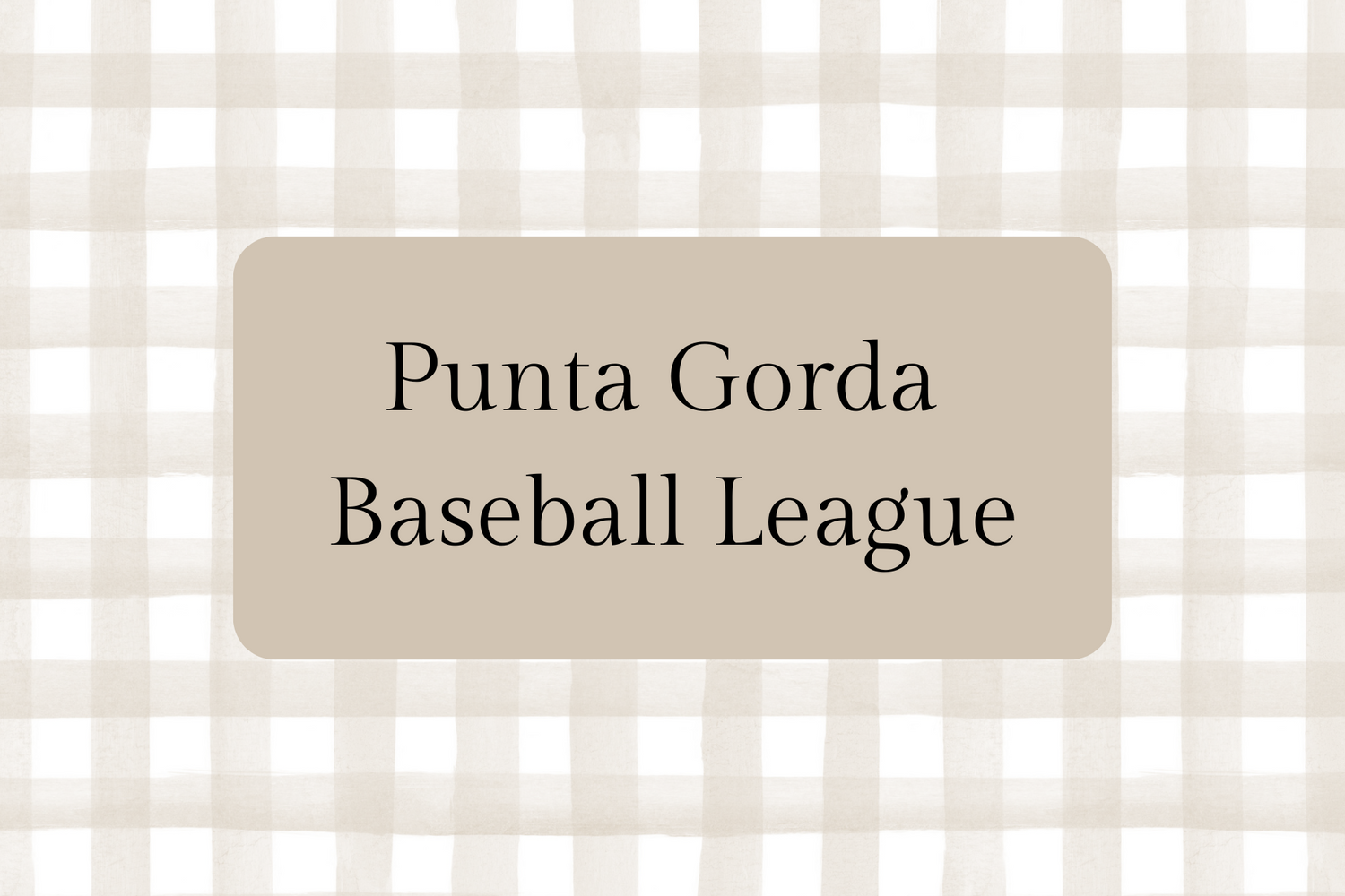 Punta Gorda Youth Baseball